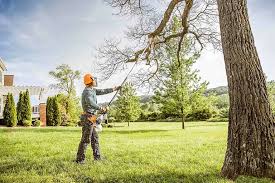 Best Commercial Tree Services  in Mcdade, TX