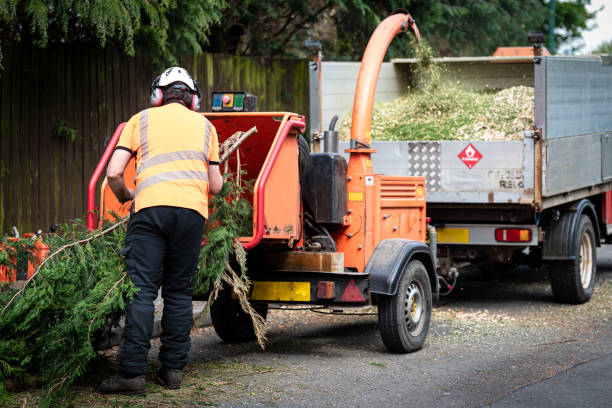 Best Artificial Turf Installation  in Mcdade, TX