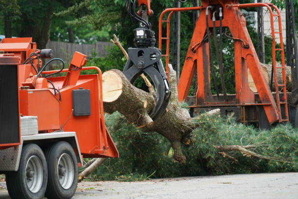  Mcdade, TX Tree Services Pros
